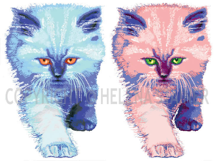 Gato Azul e Gato Rosa